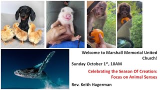 Oct. 1, 2023: Celebrating the Season of Creation : Focus on Animal Senses