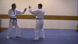 Kyushindo Karate Demo