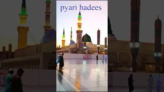 hadees#shortsfeed #islamic #trending #viral #achizindagi #shortsvideo