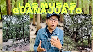 Las Musas, Manuel Doblado en Guanajuato 🌳🌲