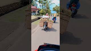 Ketemu org jualan durian #shortsyoutube #ytshorts