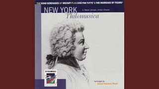 Serenade No. 12 in C Minor, K. 388/384a: I. Allegro (studio)