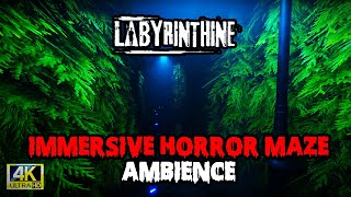 "Labyrinthine Maze Ambience | Immersive Horror Atmosphere for a Chilling Experience"