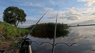 Bream fishing Lielupe river Latvia