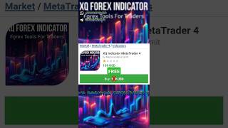 XQ Indicator MetaTrader 4 EA MT4 🇲QL5 COST : 139 USD FREE DOWNLOAD 💥✨🏆