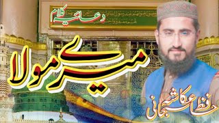 Muhammad ka roza Dikha mery mola || محمدؐ کا روضہ دکھا میرے مولا #hafizukashasubhaniofficial