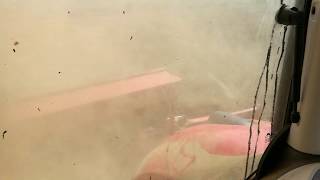 McCORMICK X7.670 VT-DRIVE high speed seeding with KUHN INTEGRA 4003