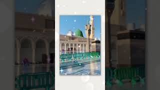 وہ میرا نبی صلی اللّٰہ علیہ وسلم ہے🥰|| #viral #shorts #shortsfeed #shortvideo#youtubeshorts #youtube