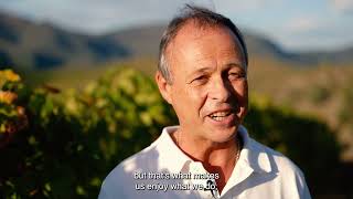 Harvest at Quinta do Porto 2023