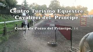 Centro Turismo equestre Cavalieri del Principe