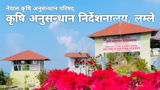 कृषि अनुसन्धान निर्देशनालय, लुम्ले, कास्की | Directorate of Agricultural Research, Lumle, Kaski.