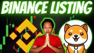 Baby Doge FINALLY LISTED On BINANCE | More PUMPS To Come