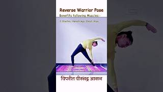 Strengthen Your Body Muscles by Reverse Warrior Pose #shorts