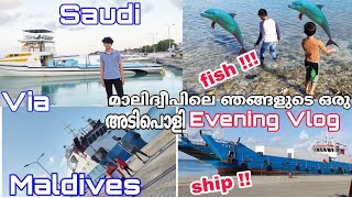 മാലിദ്വീപിലെ ഒരു അടിപൊളി Evening Vlog | Ship| Fish |India to Saudi Via Maldives |Maldives|മാലിദ്വീപ്