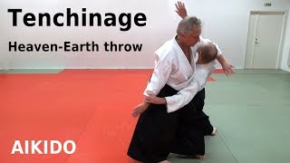 Aikido technique TENCHINAGE against grip and strike attacks, by Stefan Stenudd