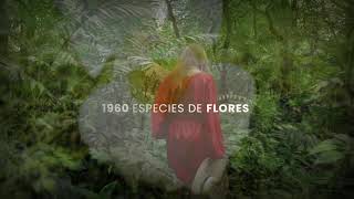 1960 especies de flores protegidas en el Chocó Andino ecuatoriano