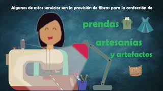 2- Los servicios ecosistémicos de los humedales