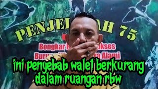 apa penyebab walet berkurang di gedung