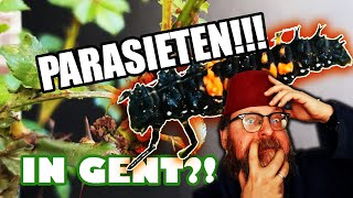 Tuinsafari s01e05 Parasieten