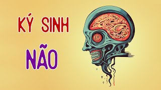 LOÀI MÈO VÀ KÝ SINH TRÙNG TRONG NÃO!?