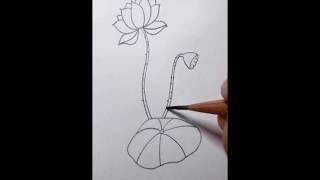 Together with Kids Simple Drawing- Lotus