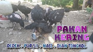 pakan kering bikin ayam sehat