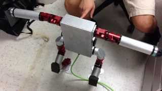 Snake Monster Biped Robot Balancing