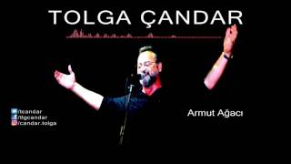 Tolga Çandar - Armut Ağacı ( Official Audio )