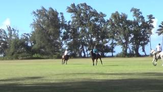 Hawaii Polo School 12OCT14