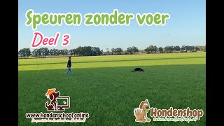 Online cursus speuren hond zonder voer op het spoor (deel 3)