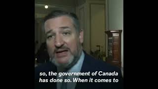 Ted Cruz Gives Canadian Truckers Praise!!! Freedom Convoy 2022