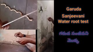 Garuda Sanjeevani Water root test || Call me Sadab 8459487861