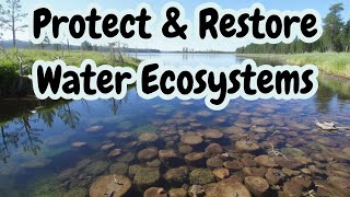 Protect & Restore Water Ecosystems 🌊🌿| SDG 6.6| Safeguard water, support life!