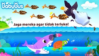 BANTU ANGSA DAN KURA-KURA PERGI DARI SERANGAN HIU DAN BURUNG ELANG | CARTOON | BABYBUS INDONESIA