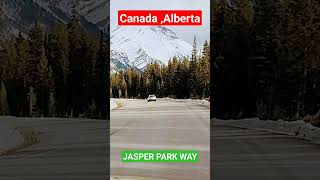 Jasper Park way.#CanadaAlberta#toronto #ontario #visa2explore #mississauga #casino#benffCalgary