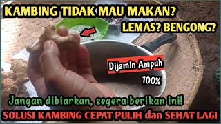 CARA MENGATASI KAMBING TIDAK MAU MAKAN, LEMAS Dan BENGONG ❌