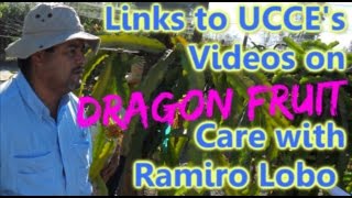 Links to U.C.C.E. videos on Dragon Fruit