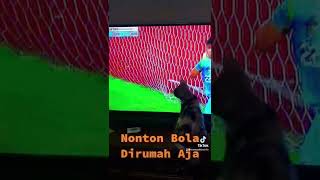 Si Belang Nonton Bola #shorts #kucing #kucinglucu #funnycats #kucingkampung