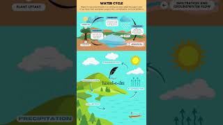 Wonders of Water Cycle: Nature's Marvel Explained | Evaporation, Condensation, Precipitation