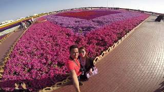 FLOWER FESTIVAL @ YANBU KSA