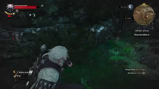 The Witcher 3 Wild Hunt Ps5 Bölüm 16