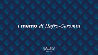 I memo di Hafro-Geromin | Programma G-Steam+Gemini