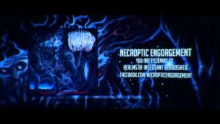 Necroptic Engorgement - Realms of Incessant Bloodshed