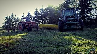 Haying in Lithuania 2014 / Šienapjūtė 2014