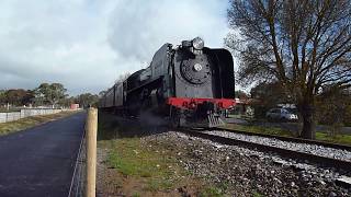 Steamranger locomotive 621 on highlander 11/8/19