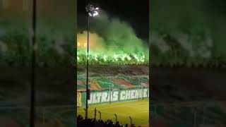 PYRO - BSG Chemie Leipzig vs. BFC Dynamo 29.11.22