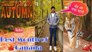 AUTUMN SEASON Best Month ofCanada#toronto#canada#vancouver#ontario#mississauga#BC#traveling#toronto