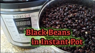 Making Black Beans in Instant Pot | Cách làm đậu đen trong nồi Instant Pot - #208