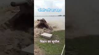 सुपौल में कोसी नदी का कहर #bihar #biharnews #flood #biharflood #supaul #river #shorts #short