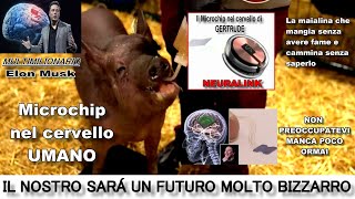 MICROCHIP NEL CERVELLO – Animali in carne ed ossa, TELECOMANDATI